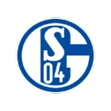 FC Schalke 04 - gojerseys