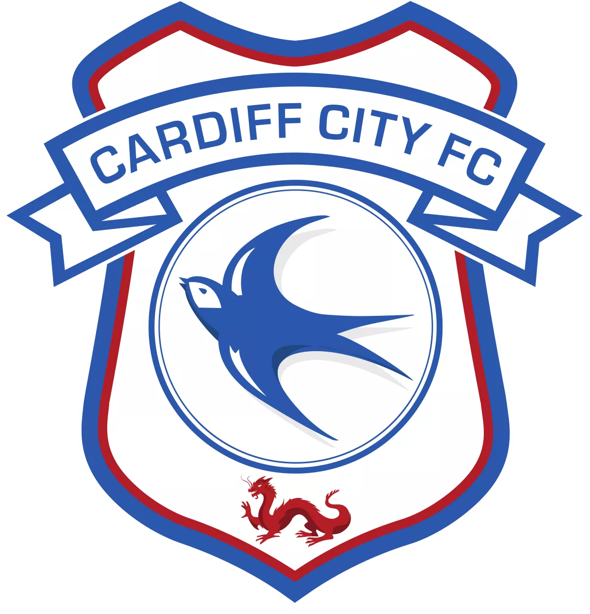 Cardiff City - goaljerseys