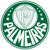 SE Palmeiras - gojersey