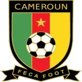 Cameroon - gojersey