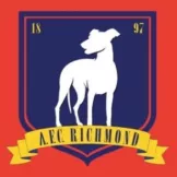 AFC Richmond - gojersey