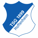 Hoffenheim - gojersey