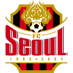 FC Seoul - goaljerseys