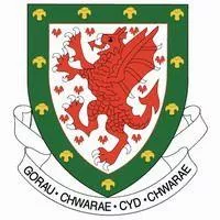 Wales - goaljerseys