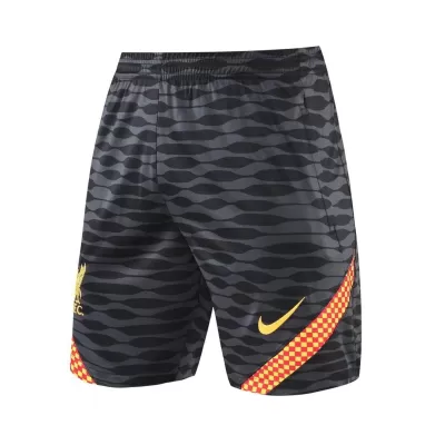 Liverpool Training Soccer Shorts 2021/22 - gojersey