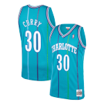 Charlotte Hornets Dell Curry #30 NBA Jersey Swingman 1992/93 Mitchell & Ness