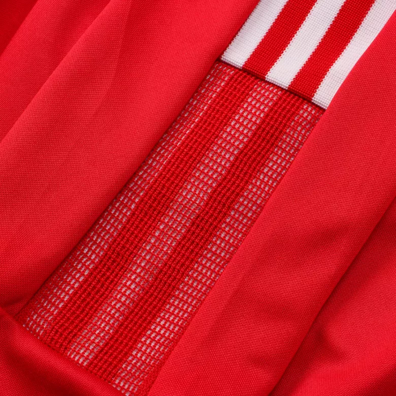 Benfica Training Jacket 2021/22 Red - gojersey