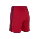 Ajax Away Soccer Shorts 2022/23 - gojerseys