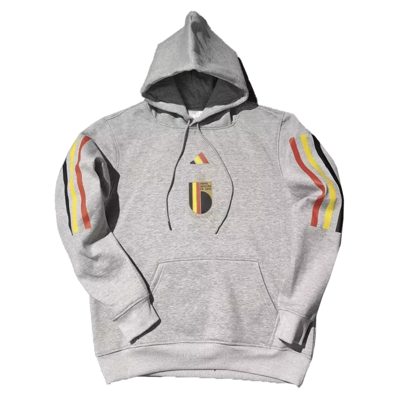 Belgium Sweater Hoodie 2022/23 - Gray - gojersey