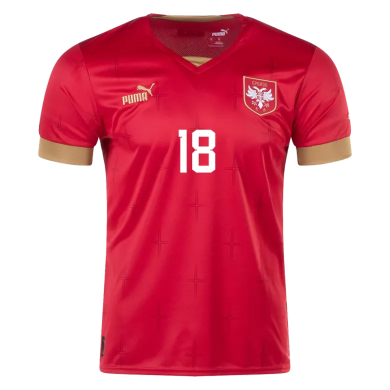 Serbia VLAHOVIĆ #18 Home Jersey 2022 - gojersey