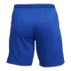 Chelsea Home Jersey Kit 2023/24 (Jersey+Shorts) - gojerseys