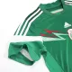 Mexico Home Jersey Retro 2014 - gojerseys