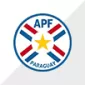 COPA AMÉRICA 2024 TEAM - gojersey