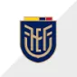 COPA AMÉRICA 2024 TEAM - gojersey