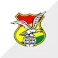 COPA AMÉRICA 2024 TEAM - gojersey