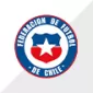 COPA AMÉRICA 2024 TEAM - gojersey