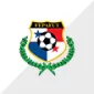 COPA AMÉRICA 2024 TEAM - gojersey