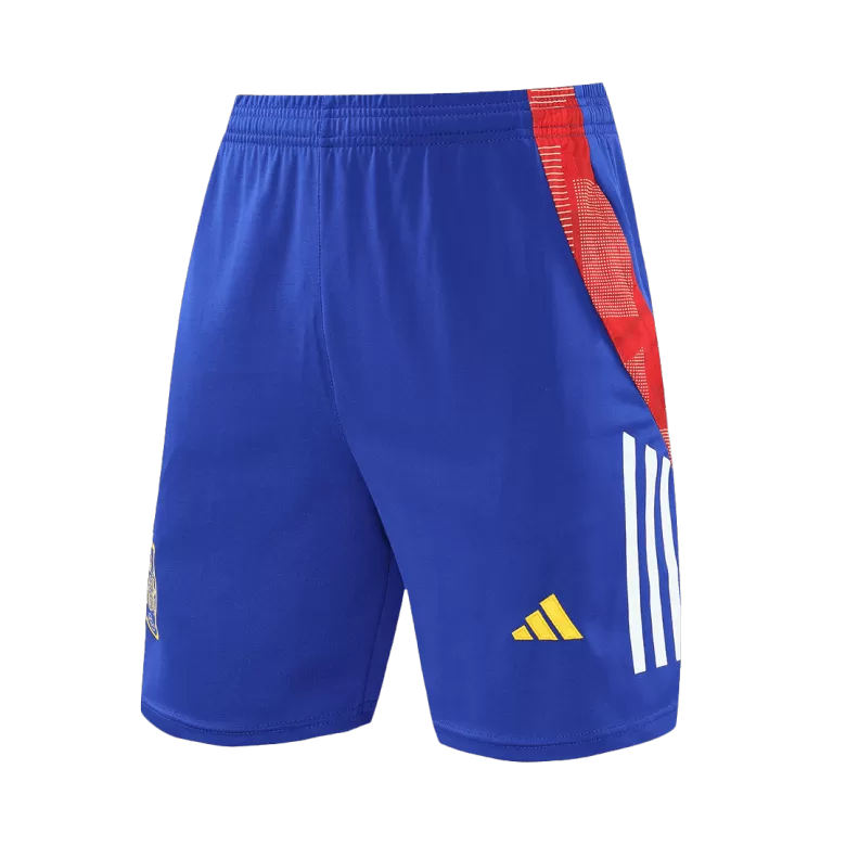 Spain Pre-Match Training Soccer Shorts 2024 - gojersey