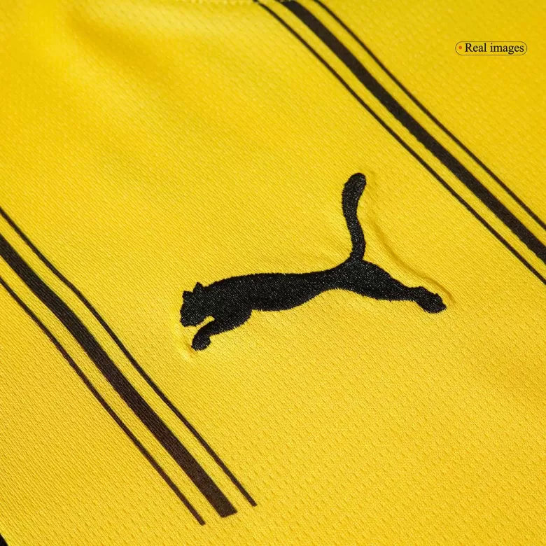 Dortmund Home Jersey 2024/25 - gojersey