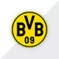 CHAMPIONS LEAGUE POPULAR CLUBS - gojersey