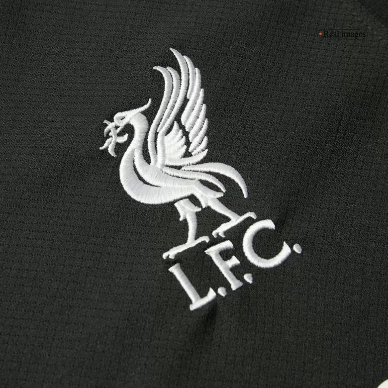 Liverpool Away Cheap Soccer Jersey 2024/25 - gojersey