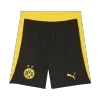 Dortmund Home Soccer Jersey Retro 2025/26 - gojersey